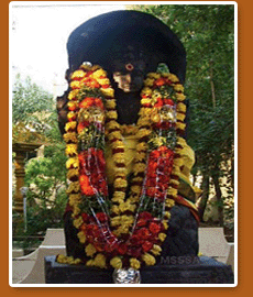 Sri seshadri Ashram